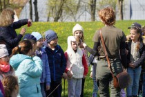Program o dravcích