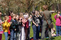 Program o dravcích