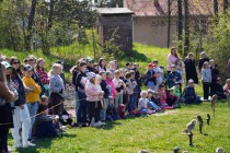 Program o dravcích