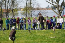 Program o dravcích