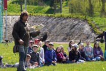 Program o dravcích