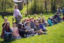 Program o dravcích