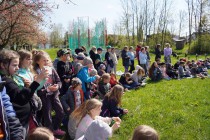 Program o dravcích