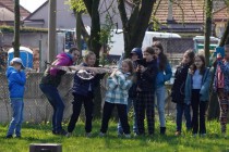 Program o dravcích
