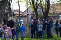 Program o dravcích
