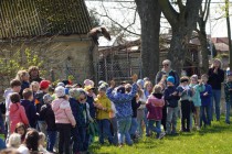 Program o dravcích