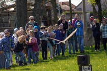 Program o dravcích
