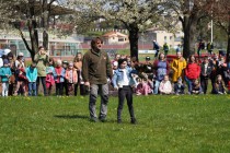 Program o dravcích