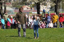 Program o dravcích