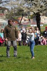 Program o dravcích