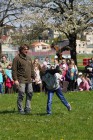 Program o dravcích