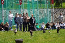 Program o dravcích