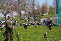 Program o dravcích