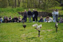 Program o dravcích