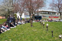 Program o dravcích