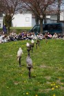 Program o dravcích