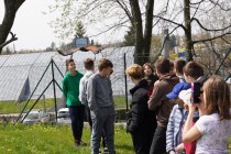Program o dravcích