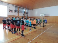 Okresní kolo v basketbalu