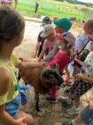 Prázdninová družina Prázdninová družina