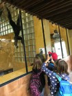 Výlet ZOO Olomouc