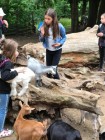 Výlet ZOO Olomouc