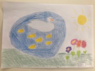 Zvířecí rodiny - Vv