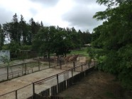 Výlet ZOO Olomouc