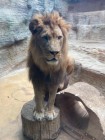 Výlet ZOO Olomouc