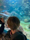 Výlet ZOO Olomouc