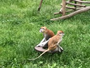 Výlet ZOO Olomouc