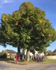 Cyklovýtet Zde domov můj Cyklovýtet Zde domov můj