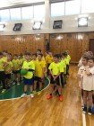 Oblastní kolo ve vybíjené Oblastní kolo ve vybíjené