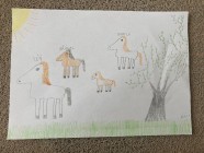 Zvířecí rodiny - Vv