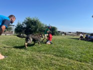 Druhý turnus prázdninové družiny