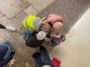 Pedagogická praxe -stezka s králicí Hopkavou