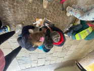 Pedagogická praxe -stezka s králicí Hopkavou