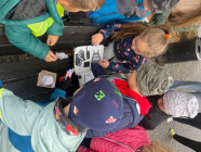 Pedagogická praxe -stezka s králicí Hopkavou