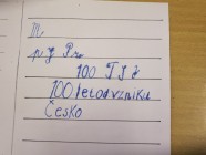 Projektový den