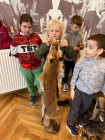 Boršov - exkurze