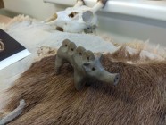 Dílna pravěku ve Středisku volného času Dílna pravěku ve Středisku volného času