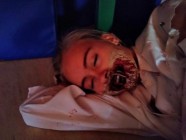 Halloween Halloween