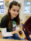 Veselé hrátky se zvířátky Veselé hrátky se zvířátky
