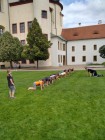 Příměstské tábory - letní prázdniny 2020