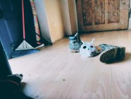 Výtvarné práce na II. stupni během distanční výuky Výtvarné práce na II. stupni během distanční výuky