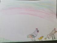 Zvířecí rodiny - Vv