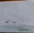 Zvířecí rodiny - Vv