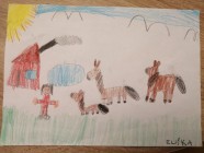 Zvířecí rodiny - Vv