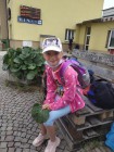Prázdninová družina Prázdninová družina