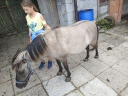 Prázdninová družina Prázdninová družina