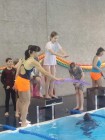 plavecká výuka - poslední lekce plavecká výuka - poslední lekce